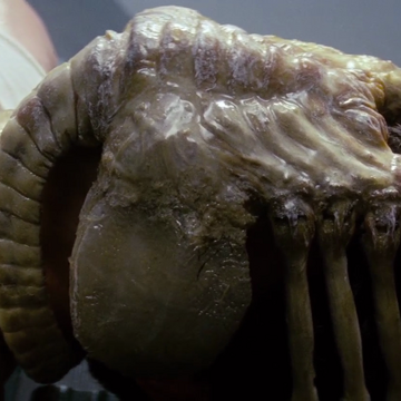 Facehugger Impregnation Mass Effect Facehugger Impregnation Mass Effect